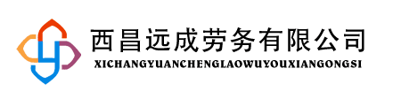 西昌遠成勞務有限公司網站建設項目